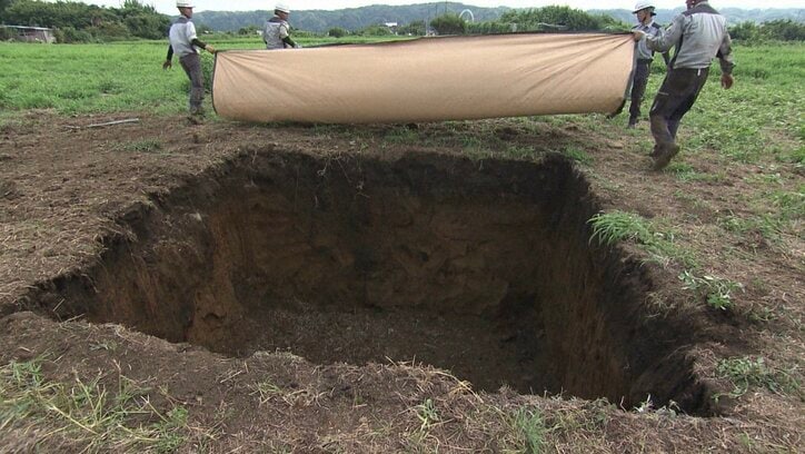 探偵！ナイトスクープ