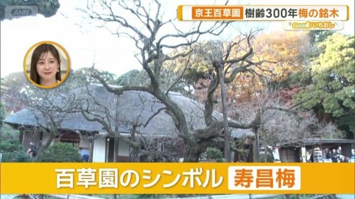 百草園のシンボル