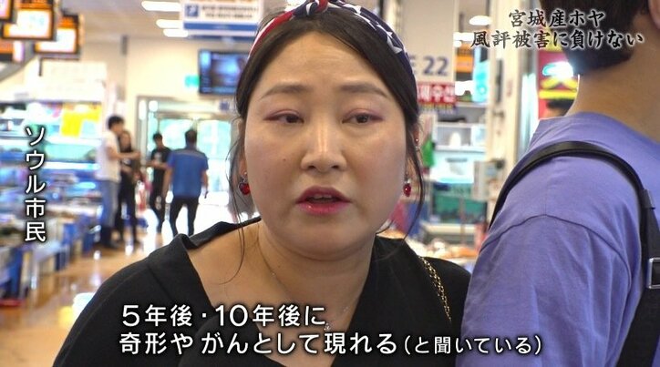 「日本産は信じられない」韓国で消えない福島第一原発事故の風評被害、それでも前を向く宮城のホヤ漁師たち