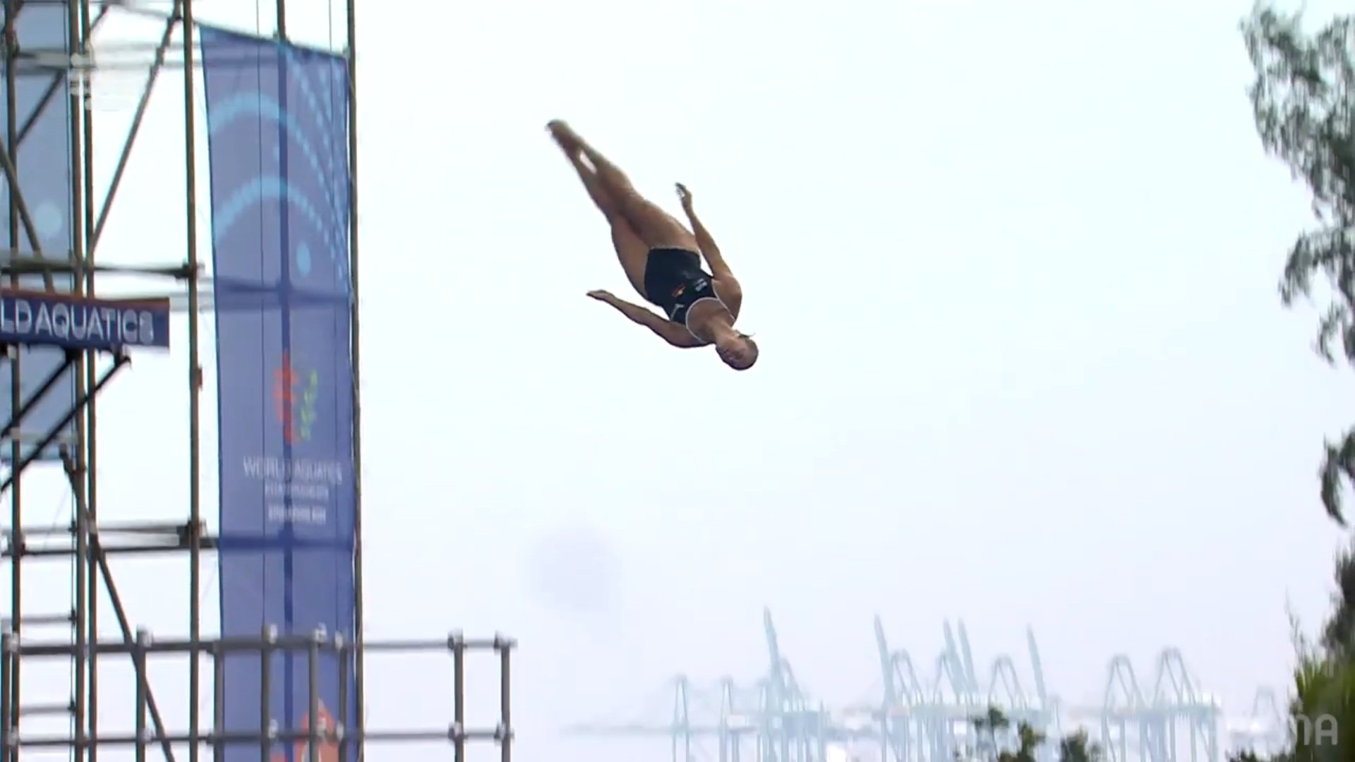 【写真・画像】　1枚目