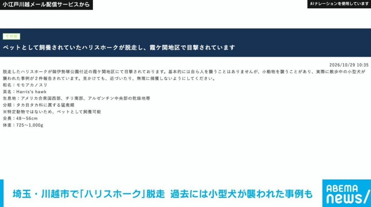 埼玉・川越市で「ハリスホーク」脱走 過去には小型犬が襲われた事例も2件 市が注意呼びかけ | 国内 | ABEMA TIMES | アベマタイムズ