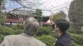 “10月と思えない珍現象”上野公園でソメイヨシノ開花 「今咲いたら春は…」