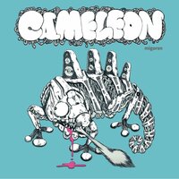 【9月下旬発売予定】Cameleon / migoren | fmlab recordings powered by BASE