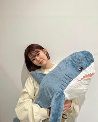 川口葵の大きなサメのぬいぐるみを抱えたオフショットに「とてもかわいい」「さめ場所変わって～」と反響