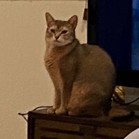 しょうくん『あいのりを見返してます』