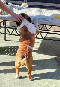 北斗晶『好きな子。嫌いな子。』