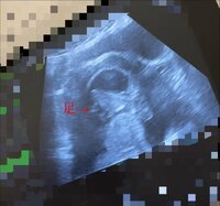 だいたひかる『夫婦の会話~動画を見た夫の第一声~』