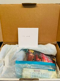 だいたひかる『オーストラリアから…』