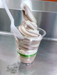 渡辺美奈代『久しぶりのCOSTCO』