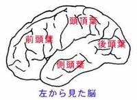 間瀬翔太『アメブロに書いたきっかけ。【脳動静脈奇形10】』