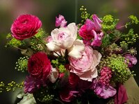 高橋英樹『真麻と移籍します！』