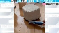カゴに入った黒猫が、カタツムリのようにうごめく姿に「猫つむり可愛すぎ！」「カムフラージュしてるの笑えるw」と大反響