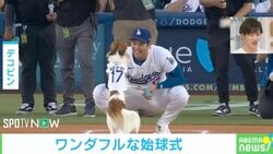 投手・デコピン→捕手・大谷翔平へ！ 可愛さ抜群の“爆走”始球式&ハイタッチの瞬間