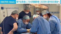 腎不全患者にブタの腎臓移植 2028年 国内初の実施へ