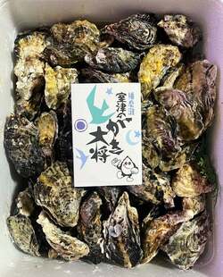  ハイヒール・モモコの夫、友人から10キロ送られてきたもの「いくらでも食べれます」 