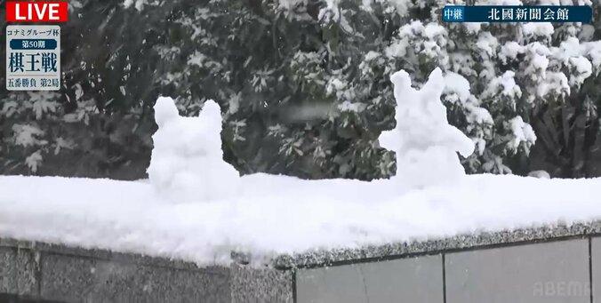 【写真・画像】　2枚目