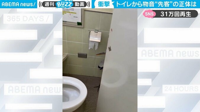「生涯で一番心臓が止まりかけた」投稿主も驚愕、トイレに謎の先客 「きっと今夜あたり恩返しがw」ネットで反響 2枚目