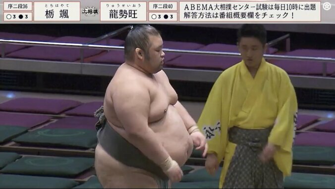 【写真・画像】「すしざんまいかよw」勝ってポーズを取る力士と敗れた力士はなぜか笑顔……“取組後の謎展開”にファン熱視線「土俵の上がカオス」「どうなってんだw」　1枚目