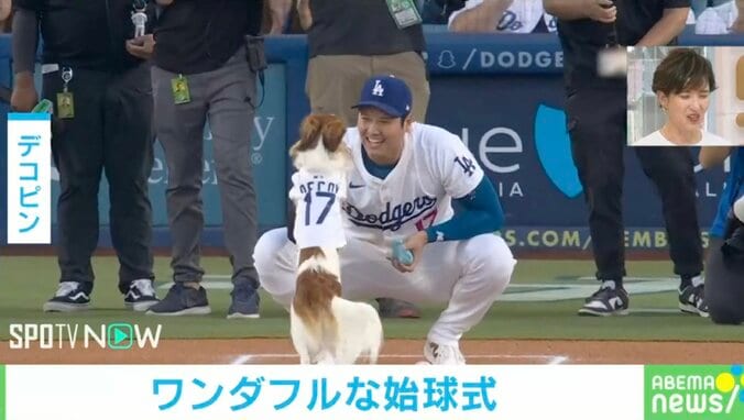 【映像】大谷、愛犬デコピンと“爆走”始球式