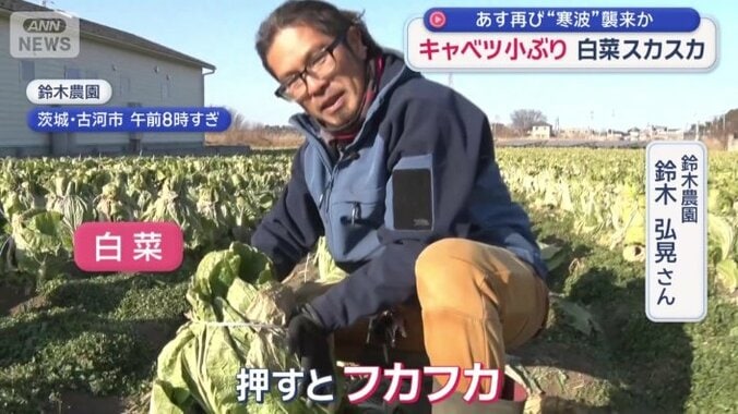 見てくれは大きいが…