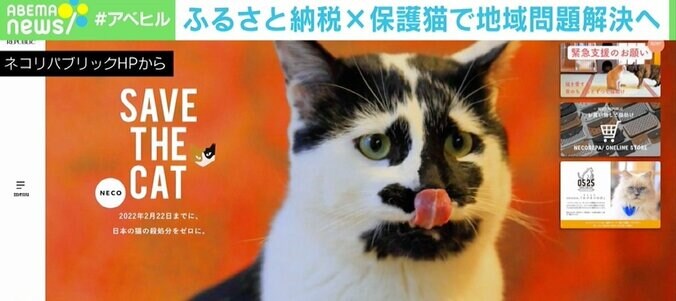 ふるさと納税が保護猫を救う？ まちづくりプロジェクトで環境問題も解決へ「全ての人にプラスになる事業に」 1枚目