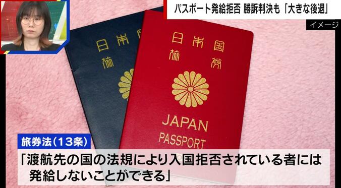 旅券法（13条）