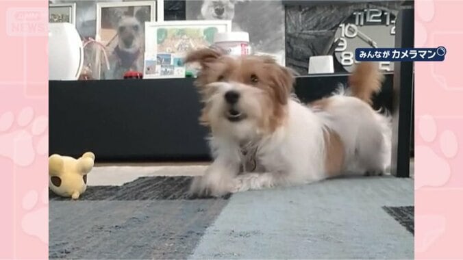 ズリズリ…いま行くワン