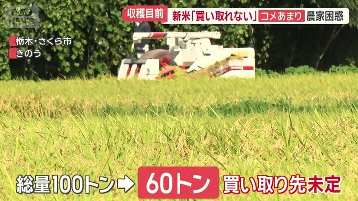60トン買い取り先が未定
