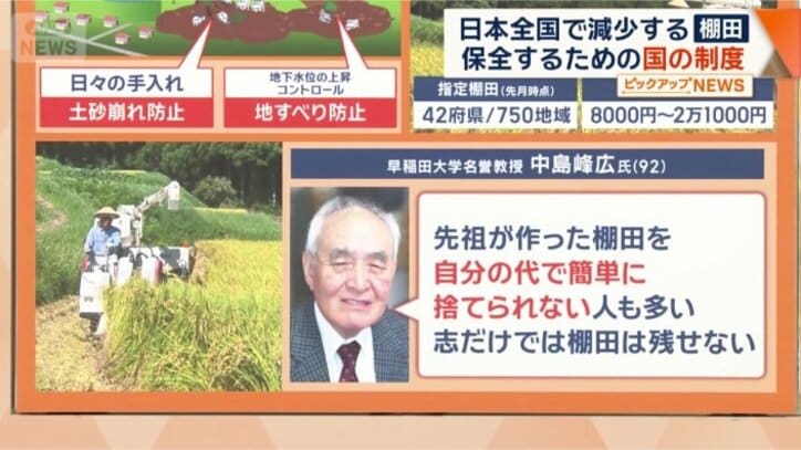 早稲田大学名誉教授　中島峰広氏