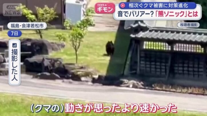 画面奥の茂みの方向へ