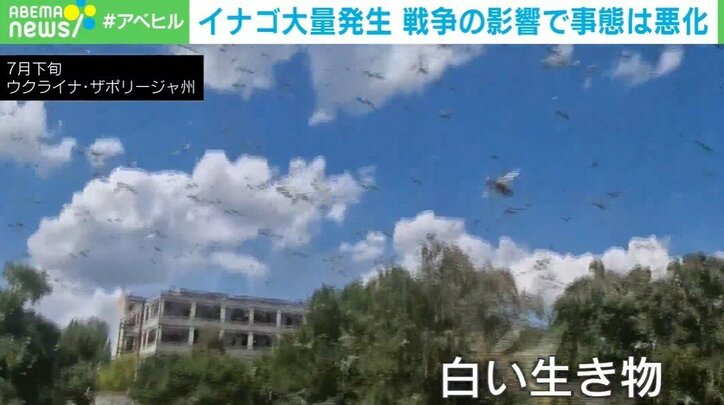 ウクライナ
