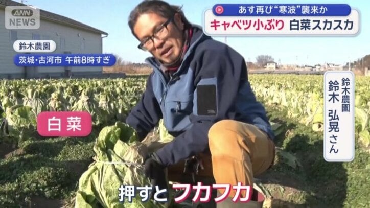 見てくれは大きいが…