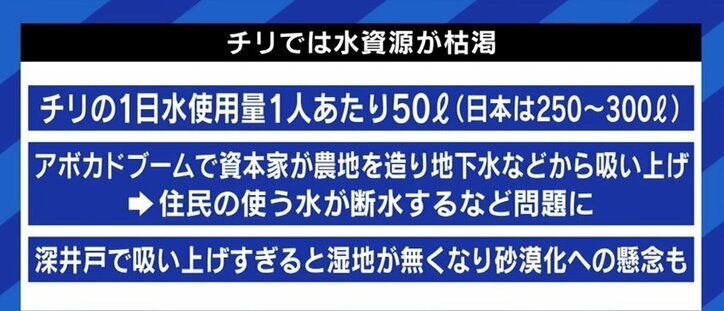 アボカドが自然破壊の遠因に?「人気が高まることで、むしろ環境負荷が減らせる可能性もある」