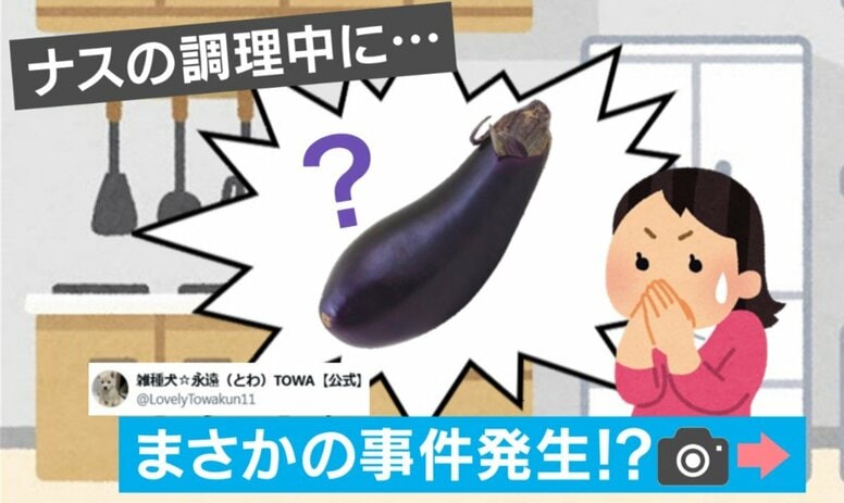 大惨事！グリルでナスが大爆発 まさかの姿に驚きの声「エイリアンだ…」