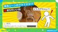 ヤモリが披露した“クセ強”な元気アピールに「ここから先は通さんっ!」「ガードしてるみたいですね」と話題