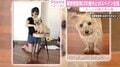 真野恵里菜、愛犬とのスペイン生活を報告「場所の問題や言葉の壁などもあって…」