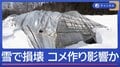 豪雪でコメ倉庫損壊　“コメ作り”ピンチ？