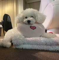 研ナオコ『メロのお気に入り』