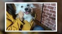 BUZZ動画 - 愛犬とぬくぬくする時期がきた