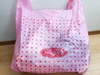 たんぽぽ白鳥久美子『バースデイ』