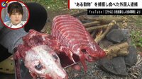 “ヌートリアを捕食した男を逮捕” 食べてみた動画の落とし穴 (ニュース) | 無料動画・見逃し配信を見るなら | ABEMA