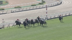 「こんなに強いんか」約10カ月ぶり復帰の素質馬、いきなり“余裕勝ち”圧巻レースにファン騒然「モノが違う」