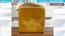 「これは食べられない…」食パンを切ると“柴犬の顔”が出てくる様子に「シバちゃんいっぱいで可愛い」「包丁の切れ味にも目を奪われた」と反響