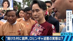 ロヒンギャ迫害に沈黙する“民主化の象徴”スー・チー氏、専門家「活動家の頃とは別人だと思った方がいい」