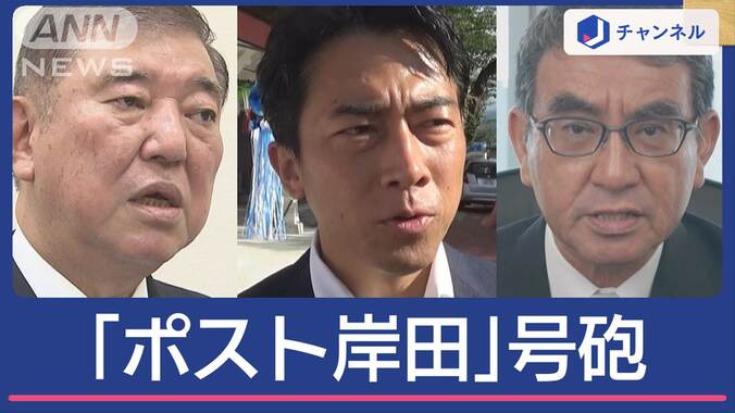 進次郎氏出馬は？「ポスト岸田」めぐり“水面下”で思惑 1枚目