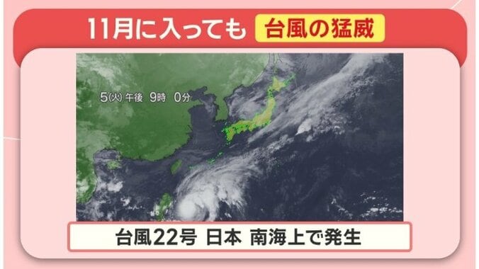 台風の猛威