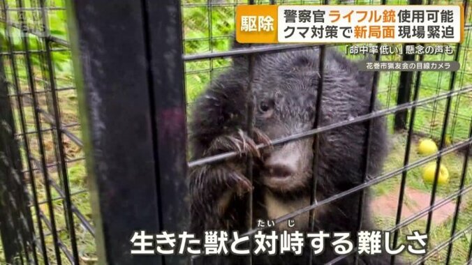 生きた獣と対峙する難しさ