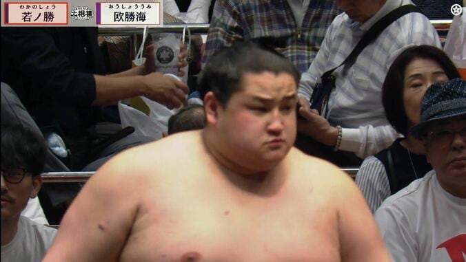 【写真・画像】 1枚目