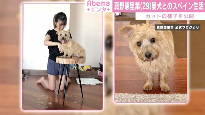 真野恵里菜、愛犬とのスペイン生活を報告「場所の問題や言葉の壁などもあって…」 1枚目