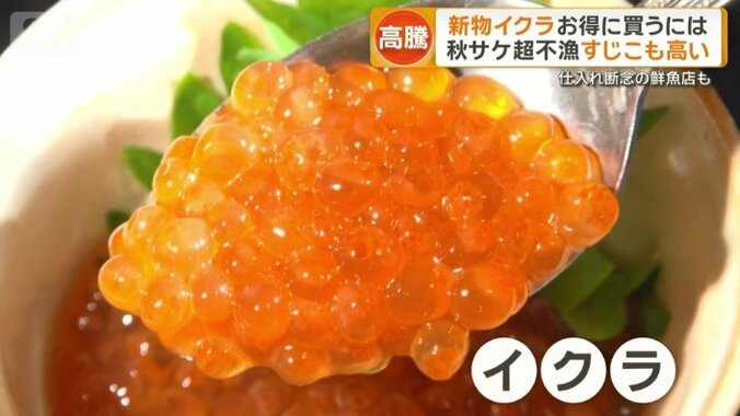 新物のイクラ